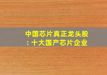 中国芯片真正龙头股: 十大国产芯片企业